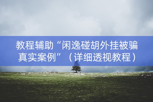 教程辅助“闲逸碰胡外挂被骗真实案例”（详细透视教程）-哔哩哔哩