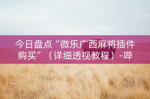 今日盘点“微乐广西麻将插件购买”（详细透视教程）-哔哩哔哩