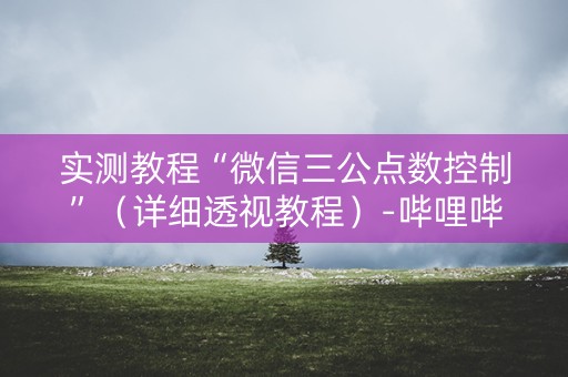 实测教程“微信三公点数控制”（详细透视教程）-哔哩哔哩
