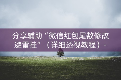 分享辅助“微信红包尾数修改避雷挂”（详细透视教程）-哔哩哔哩