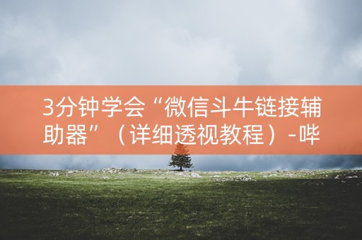 3分钟学会“微信斗牛链接辅助器”（详细透视教程）-哔哩哔哩