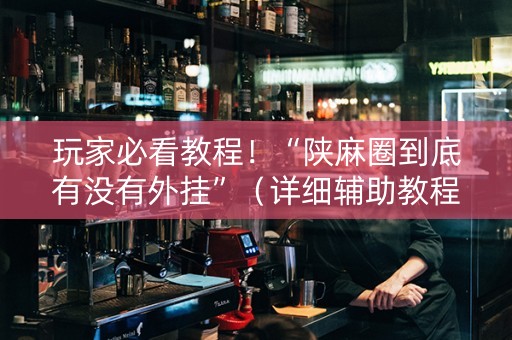 玩家必看教程！“陕麻圈到底有没有外挂”（详细辅助教程）-哔哩哔哩