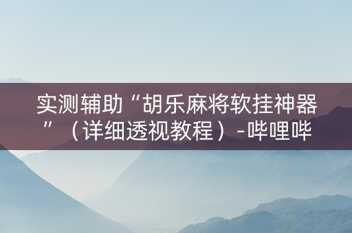 实测辅助“胡乐麻将软挂神器”（详细透视教程）-哔哩哔哩