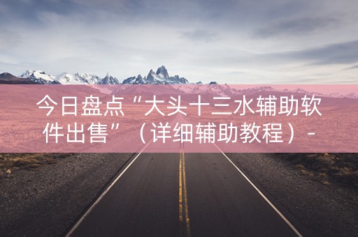 今日盘点“大头十三水辅助软件出售”（详细辅助教程）-哔哩哔哩