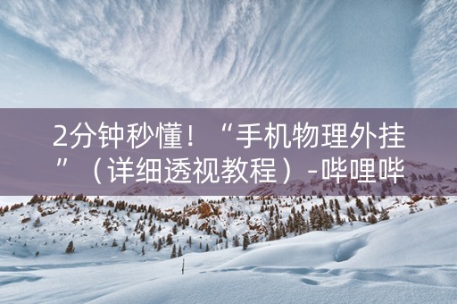 2分钟秒懂！“手机物理外挂”（详细透视教程）-哔哩哔哩