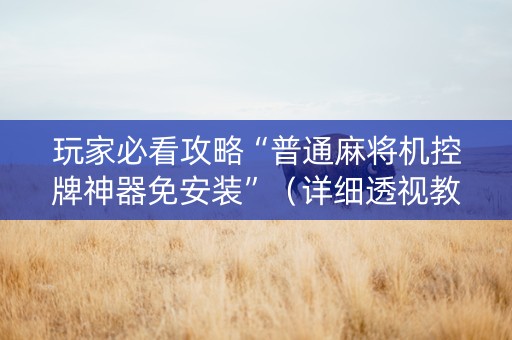 玩家必看攻略“普通麻将机控牌神器免安装”（详细透视教程）-哔哩哔哩