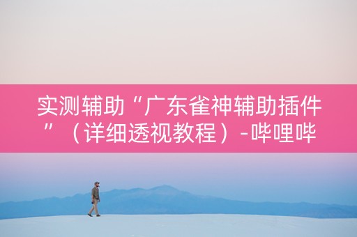 实测辅助“广东雀神辅助插件”（详细透视教程）-哔哩哔哩