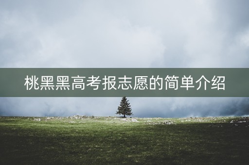 桃黑黑高考报志愿的简单介绍