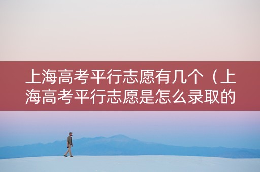 上海高考平行志愿有几个（上海高考平行志愿是怎么录取的）