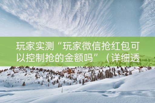 玩家实测“玩家微信抢红包可以控制抢的金额吗”（详细透视教程）-哔哩哔哩