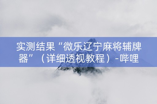 实测结果“微乐辽宁麻将辅牌器”（详细透视教程）-哔哩哔哩