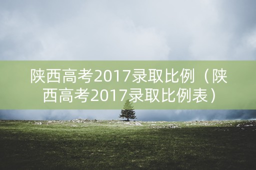 陕西高考2017录取比例（陕西高考2017录取比例表）