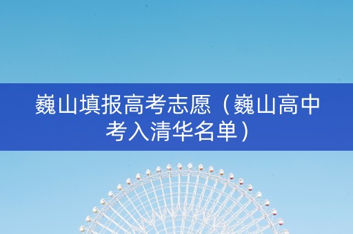 巍山填报高考志愿（巍山高中考入清华名单）