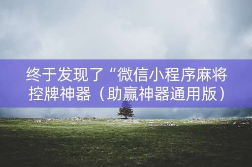 终于发现了“微信小程序麻将控牌神器（助赢神器通用版）