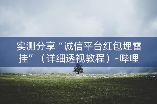 实测分享“诚信平台红包埋雷挂”（详细透视教程）-哔哩哔哩