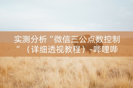 实测分析“微信三公点数控制”（详细透视教程）-哔哩哔哩