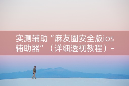 实测辅助“麻友圈安全版ios辅助器”（详细透视教程）-哔哩哔哩