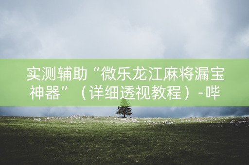实测辅助“微乐龙江麻将漏宝神器”（详细透视教程）-哔哩哔哩