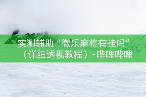 实测辅助“微乐麻将有挂吗”（详细透视教程）-哔哩哔哩