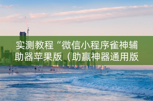 实测教程“微信小程序雀神辅助器苹果版（助赢神器通用版）