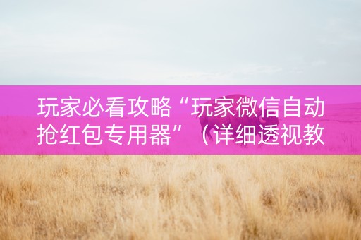 玩家必看攻略“玩家微信自动抢红包专用器”（详细透视教程）-哔哩哔哩