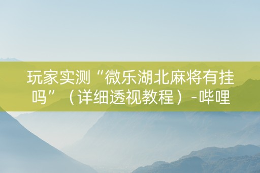 玩家实测“微乐湖北麻将有挂吗”（详细透视教程）-哔哩哔哩