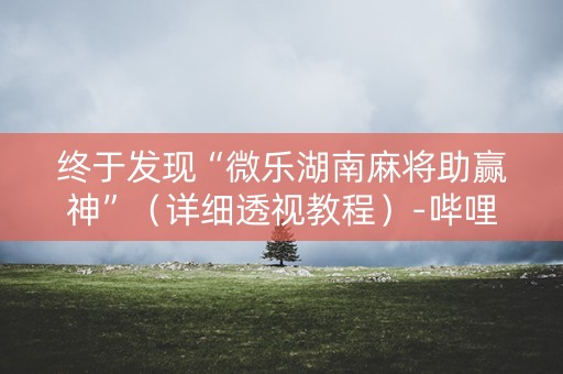 终于发现“微乐湖南麻将助赢神”（详细透视教程）-哔哩哔哩