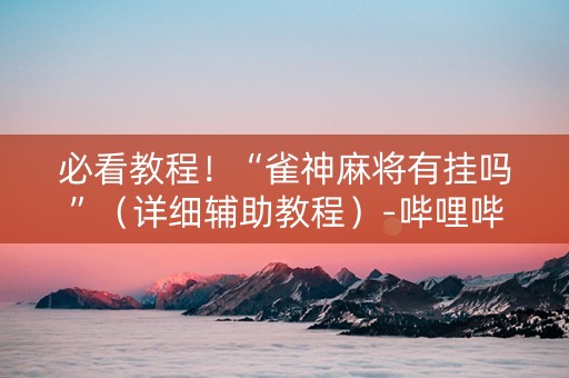 必看教程！“雀神麻将有挂吗”（详细辅助教程）-哔哩哔哩