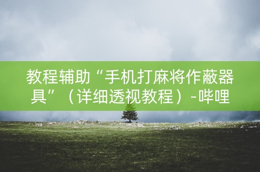 教程辅助“手机打麻将作蔽器具”（详细透视教程）-哔哩哔哩