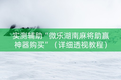 实测辅助“微乐湖南麻将助赢神器购买”（详细透视教程）-哔哩哔哩