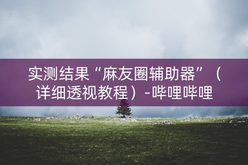 实测结果“麻友圈辅助器”（详细透视教程）-哔哩哔哩