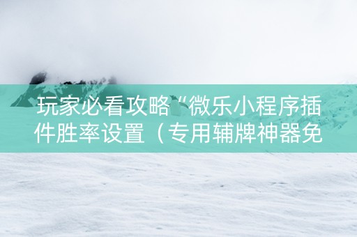 玩家必看攻略“微乐小程序插件胜率设置（专用辅牌神器免安装）