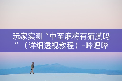 玩家实测“中至麻将有猫腻吗”（详细透视教程）-哔哩哔哩