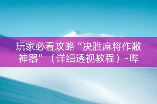 玩家必看攻略“决胜麻将作敝神器”（详细透视教程）-哔哩哔哩