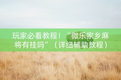玩家必看教程！“微乐家乡麻将有挂吗”（详细辅助教程）-哔哩哔哩