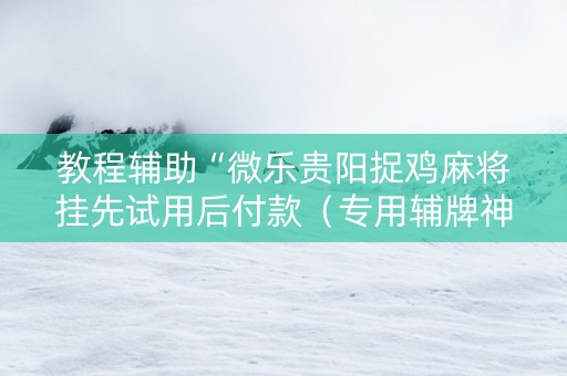 教程辅助“微乐贵阳捉鸡麻将挂先试用后付款（专用辅牌神器免安装）