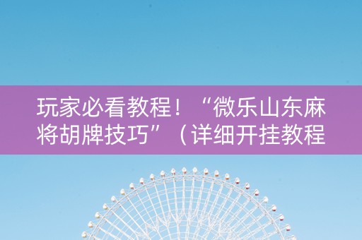 玩家必看教程！“微乐山东麻将胡牌技巧”（详细开挂教程）-哔哩哔哩