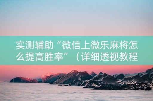 实测辅助“微信上微乐麻将怎么提高胜率”（详细透视教程）-哔哩哔哩