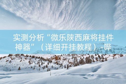实测分析“微乐陕西麻将挂件神器”（详细开挂教程）-哔哩哔哩