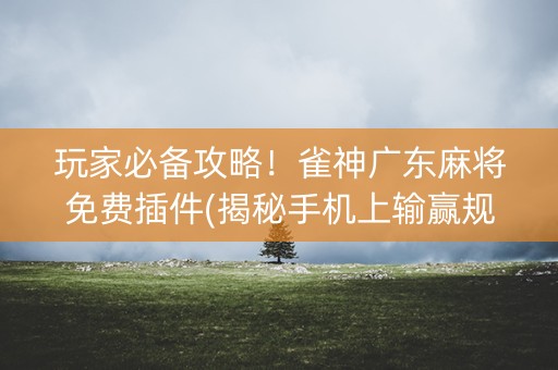 玩家必备攻略！雀神广东麻将免费插件(揭秘手机上输赢规律)
