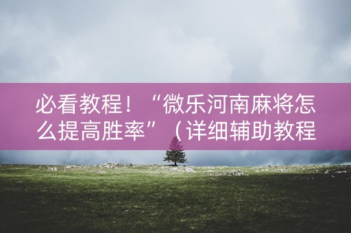 必看教程！“微乐河南麻将怎么提高胜率”（详细辅助教程）-哔哩哔哩