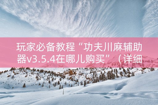 玩家必备教程“功夫川麻辅助器v3.5.4在哪儿购买”（详细透视教程）-哔哩哔哩