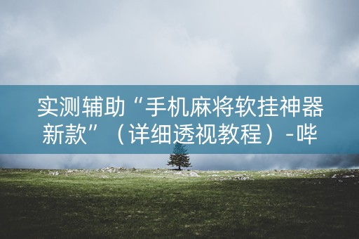 实测辅助“手机麻将软挂神器新款”（详细透视教程）-哔哩哔哩