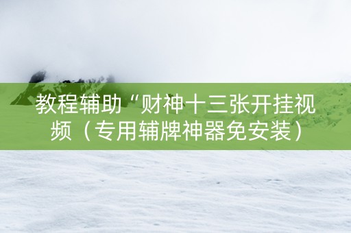 教程辅助“财神十三张开挂视频（专用辅牌神器免安装）