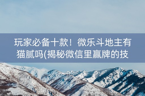 玩家必备十款！微乐斗地主有猫腻吗(揭秘微信里赢牌的技巧)