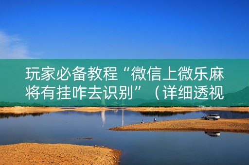 玩家必备教程“微信上微乐麻将有挂咋去识别”（详细透视教程）-哔哩哔哩