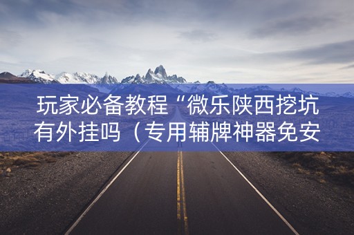 玩家必备教程“微乐陕西挖坑有外挂吗（专用辅牌神器免安装）