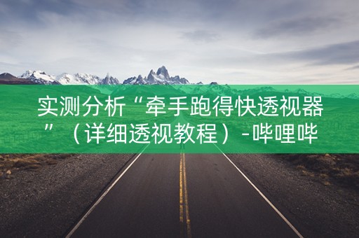 实测分析“牵手跑得快透视器”（详细透视教程）-哔哩哔哩