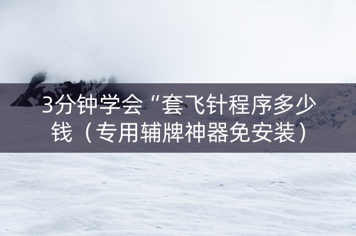 3分钟学会“套飞针程序多少钱（专用辅牌神器免安装）
