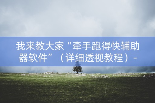 我来教大家“牵手跑得快辅助器软件”（详细透视教程）-哔哩哔哩